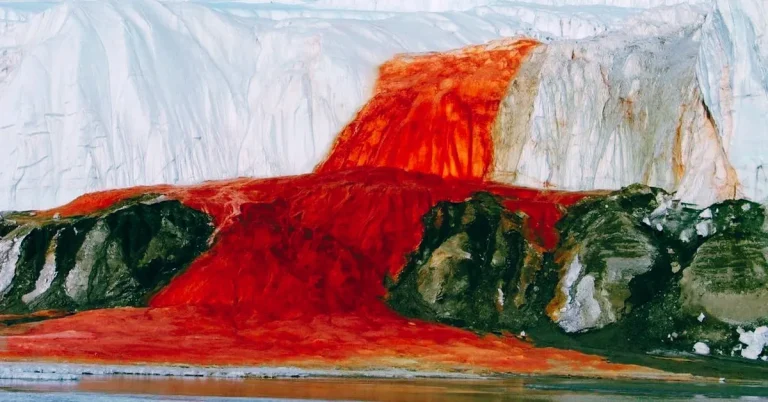 Batu Berdarah Blood Falls, Antartika, Keajaiban Alam yang Menakjubkan