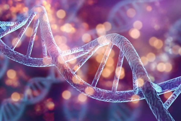 10 Fakta Menarik tentang Penemuan Struktur DNA oleh Watson dan Crick