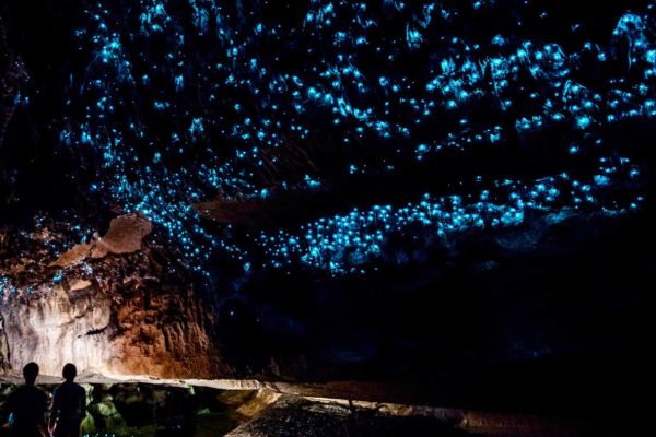 Waitomo Glowworm Caves, Keajaiban Cahaya di Bawah Tanah Selandia Baru