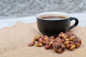 Kopi Luwak, Kopi Termahal di Dunia yang Berasal dari “Kotoran” Musang